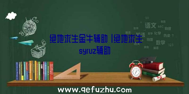 「绝地求生金牛辅助」|绝地求生syruz辅助